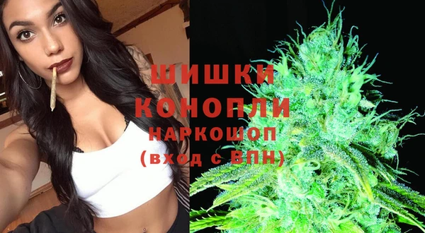 стаф Няндома