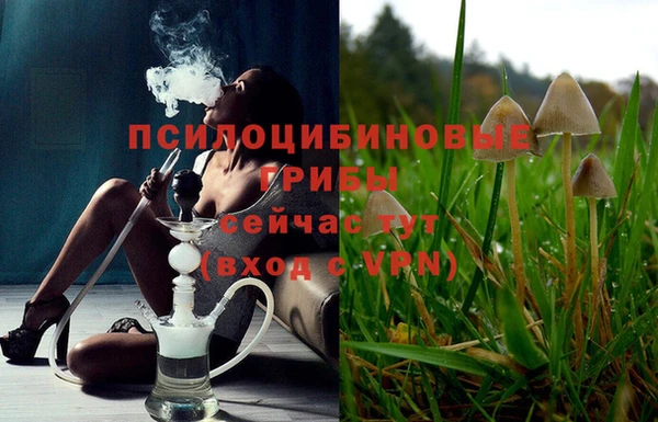 мет Новодвинск
