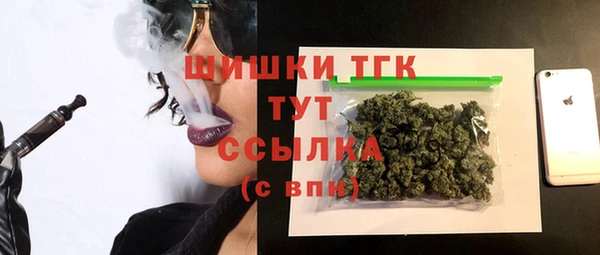 МДПВ Карпинск