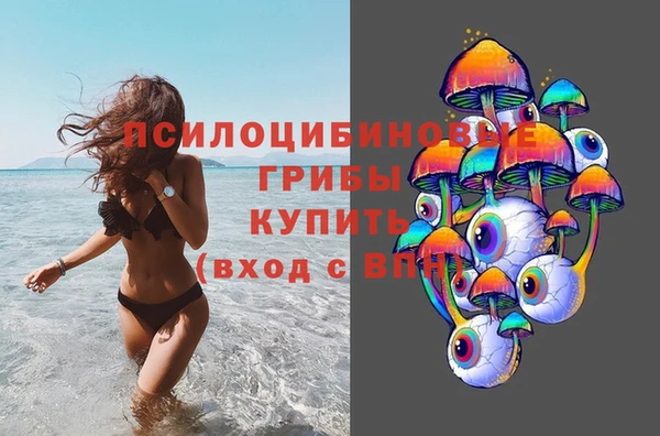 хмурый Нязепетровск