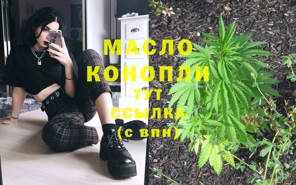 стаф Няндома