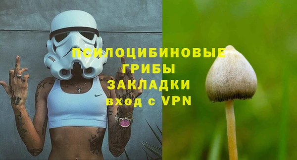 хмурый Нязепетровск
