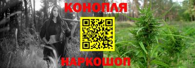 твердый Заводоуковск