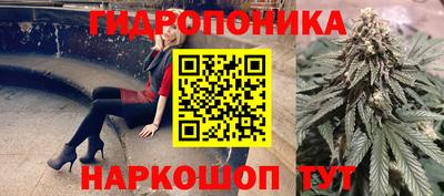 твердый Заводоуковск