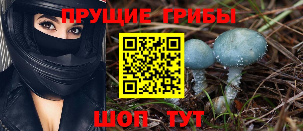Галлюциногенные грибы MAGIC MUSHROOMS Нягань